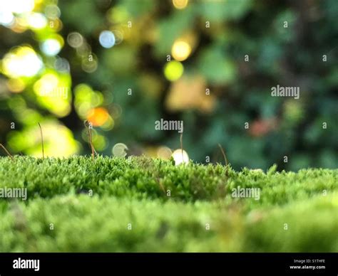 Flares hi-res stock photography and images - Alamy