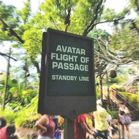 How to Ride Avatar Flight of Passage Without the Wait - Trips With Tykes