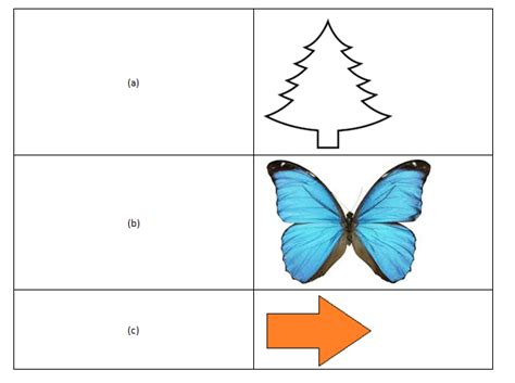 Reflection Symmetry Explained - Definition and Examples