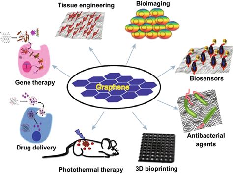 India: Scientists Explore the Miracle—and Toxicity—of Graphene in 3D Printing and Biomedical ...