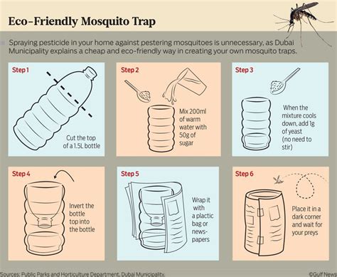 Make Your Own Eco-friendly Mosquito Trap in 6 Simple Steps