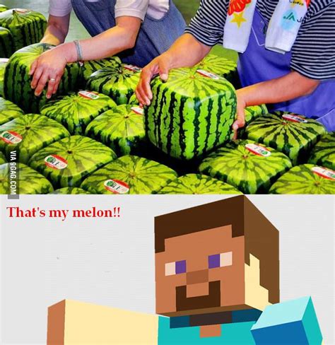 Minecraft Melon. - 9GAG