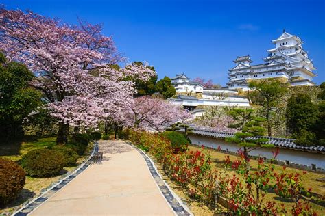 A Guide to Japan - March and April