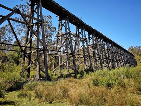 Noojee Trestle Bridge: UPDATED 2020 All You Need to Know Before You Go ...