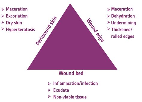 Periwound moisture-associated skin damage: An overview of etiology and ...