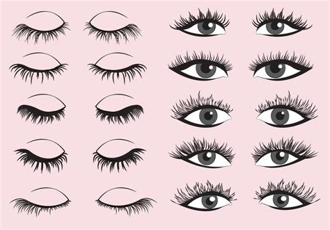 Eyelashes Clipart Set Vector 419123 Vector Art at Vecteezy