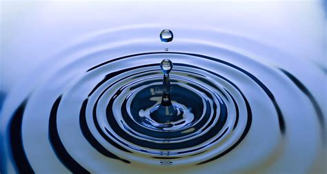 The Ripple Effect | Momentous Institute