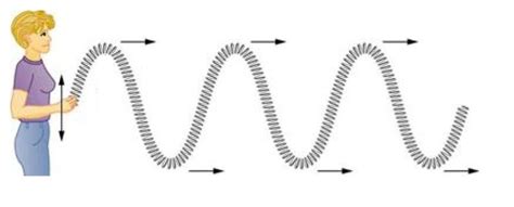 A Longitudinal Wave Vs Transverse - Shajara