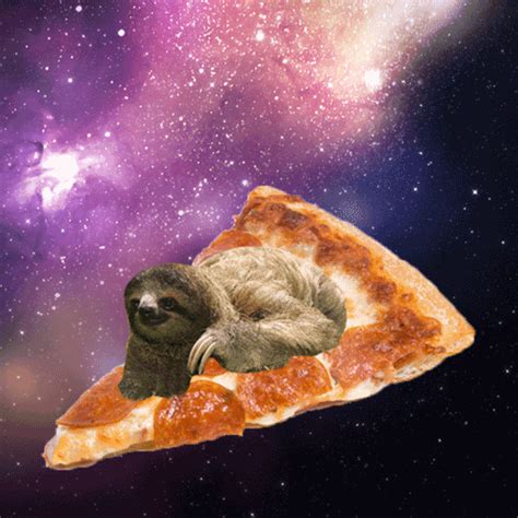 Sloth Riding On Pizza GIF | GIFDB.com