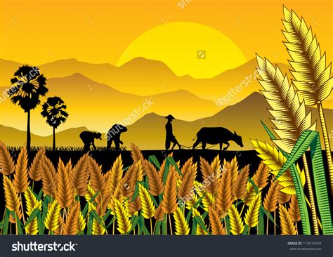 harvesting rice field clipart - Clip Art Library