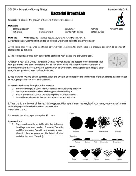 Bacterial Growth Lab - MsPham