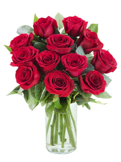 Arabella Farm Direct Bouquet of 12 Fresh Cut Red Roses With Vase ...