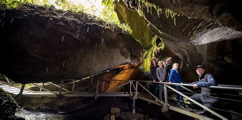 Glow Worm Caves, Te Anau - Everything New Zealand