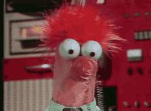 Beaker Muppet GIFs | Tenor