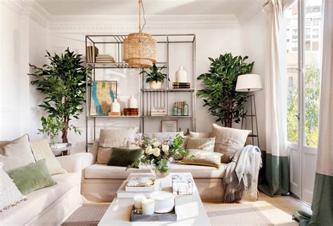 Plantas en el salón: 19 ideas para decorar con ellas