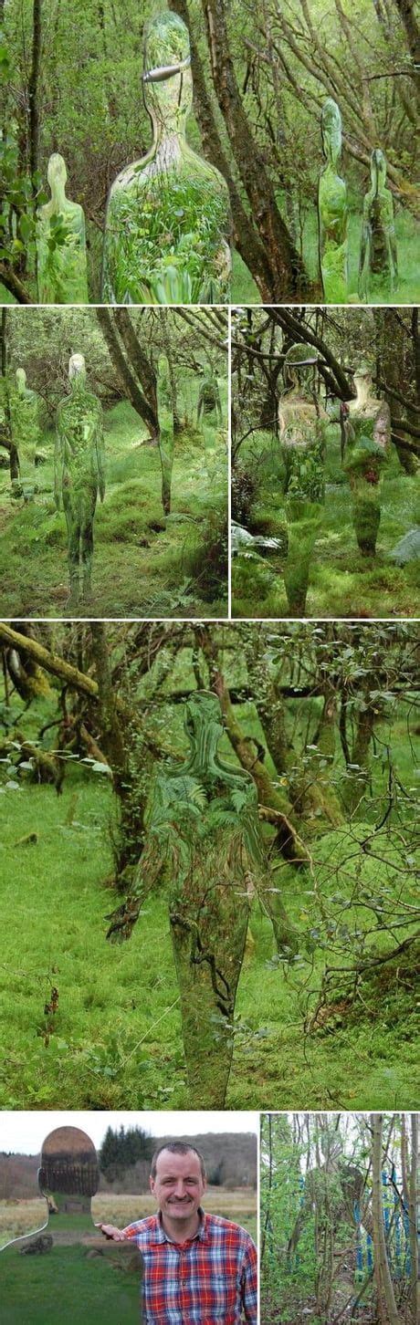 Trippy forest art - Awesome | Installation art, Outdoor art, Land art