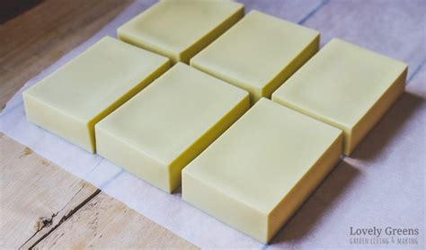 Castile Soap Recipe Queen | Bryont Blog