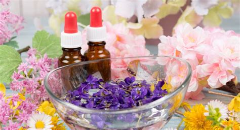 Five Bach Flower Remedies for children - What Doctors Don't Tell You