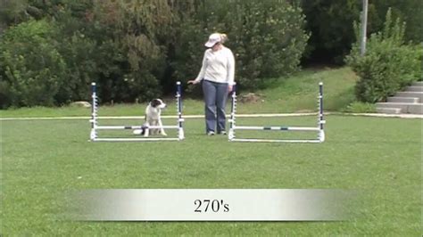 Jump practice patterns - Agility Dog Training - YouTube