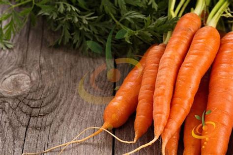 Carrot Varieties, Varieties of Carrots, Types of Carrots