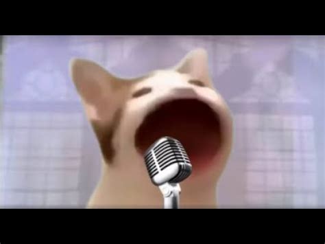 Pop Cat Sings Meme Song | Pop Cat | Know Your Meme