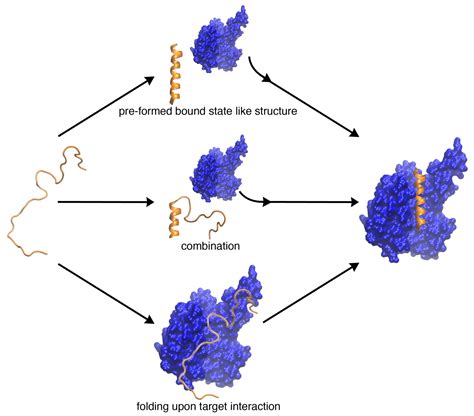 Intrinsically Disordered Proteins