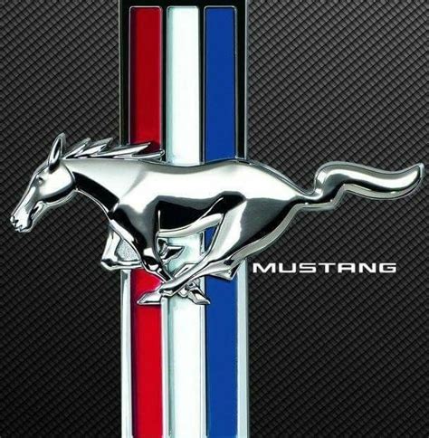 mustang windshield with pony logo - kiara-morishito