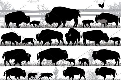 Texas longhorn cattle silhouettes | American bison, Longhorn cattle, Dog silhouette