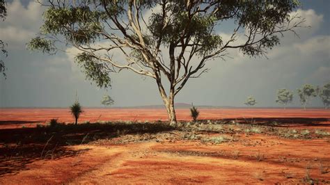 African savanna landscape with acacia trees 7545653 Stock Video at Vecteezy