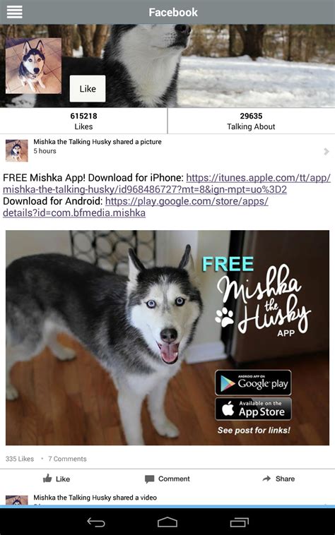 Mishka The Talking Husky:Amazon.com:Appstore for Android