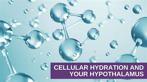 Cellular Hydration and Your Hypothalamus - Genesis Gold