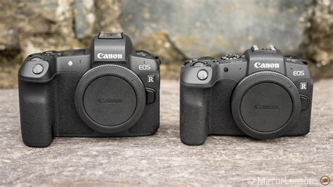 Canon EOS R vs EOS RP - Five key points analysed - Mirrorless Comparison