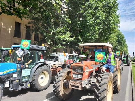 Farmers reach Madrid in protest drive calling for drought relief