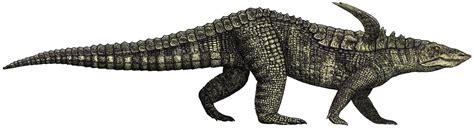 Evolution of Archosaurs - NYK Daily