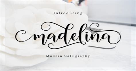 20+ Free Calligraphy Fonts For Designers