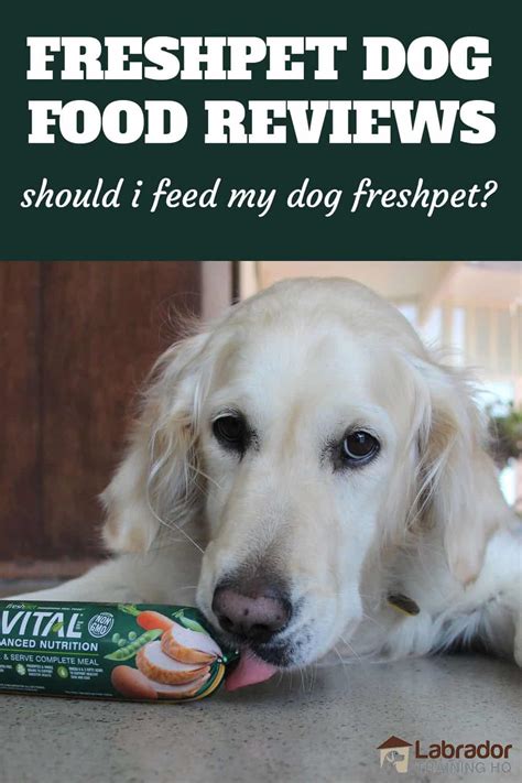 Should I Be Feeding My Dog Freshpet Dog Foods?