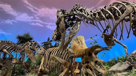 Dinosphere exhibit returns to the Children's Museum of Indianapolis ...