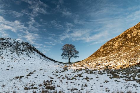 Sycamore Gap Winter - Northern Landscapes by Steven Iceton