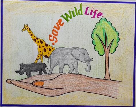 World wildlife conservation fay – India NCC