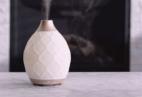 Desert Mist Essential Oils Diffuser | Young Living | Mi Essential Oils