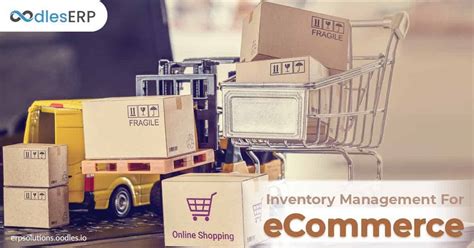 Inventory Management Software Development For eCommerce