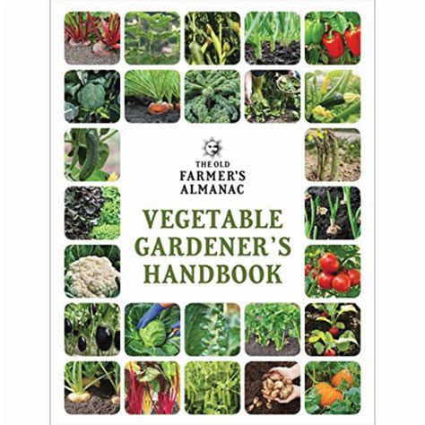 The Best Gardening Books for Beginners