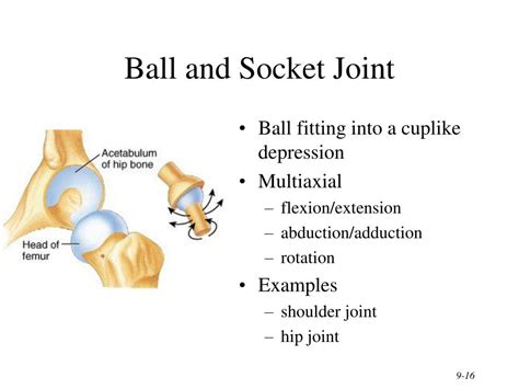 PPT - Chapter 9 Joints PowerPoint Presentation, free download - ID:3130113