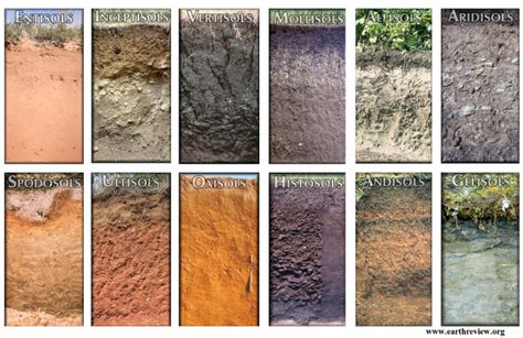 12 Soil Orders in Soil Taxonomy with Their Major Characteristics ...