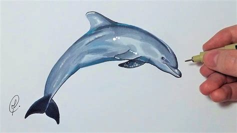 Résultat de recherche d'images pour "comment dessiner un dauphin" | Dauphin dessin, Dessin ...