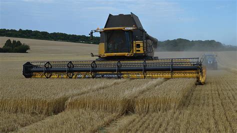 Spring malting barley varieties for 2022 - Farmers Weekly