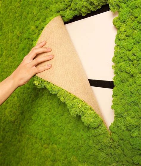 Indoor Moss Is A Fuss-Free Way To Add A Natural Element To Home Decor | Easy home decor, Moss ...