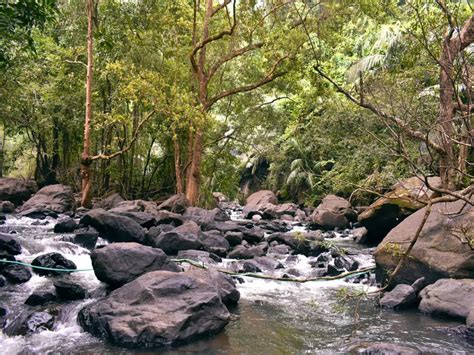 Dudhsagar Falls in monsoon – things you need to know, Goa - Times of ...