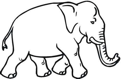 Gajah Drawing - ClipArt Best