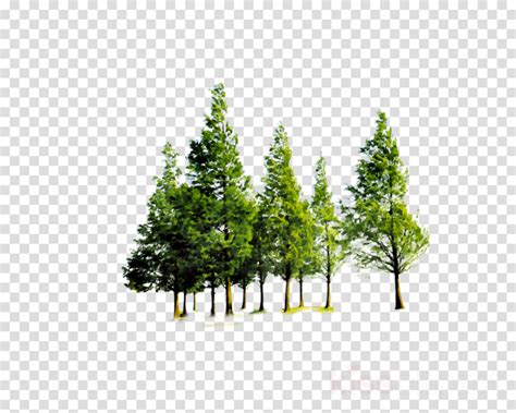 Download High Quality forest clipart transparent background Transparent PNG Images - Art Prim ...